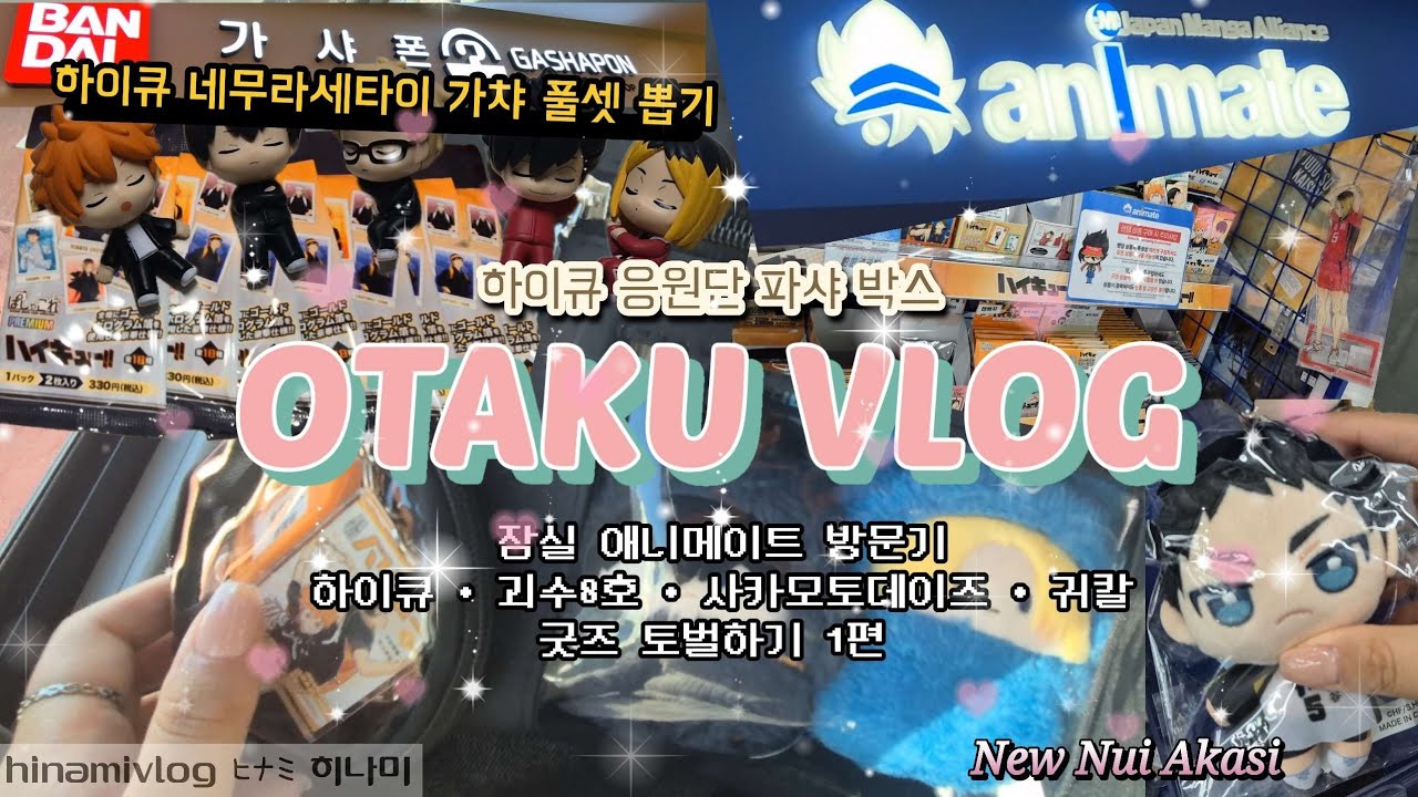 [vlog] 잠실 애니메이트부터 가샤폰 뿌시는 오타쿠브이로그 (՞ . .՞)𓈒𓂂𓏸♡|하이큐•괴8•사카모토데이즈•귀칼|파샤•누이펄•가챠깡•랜깡|#오타쿠브이로그 #vlog #otaku