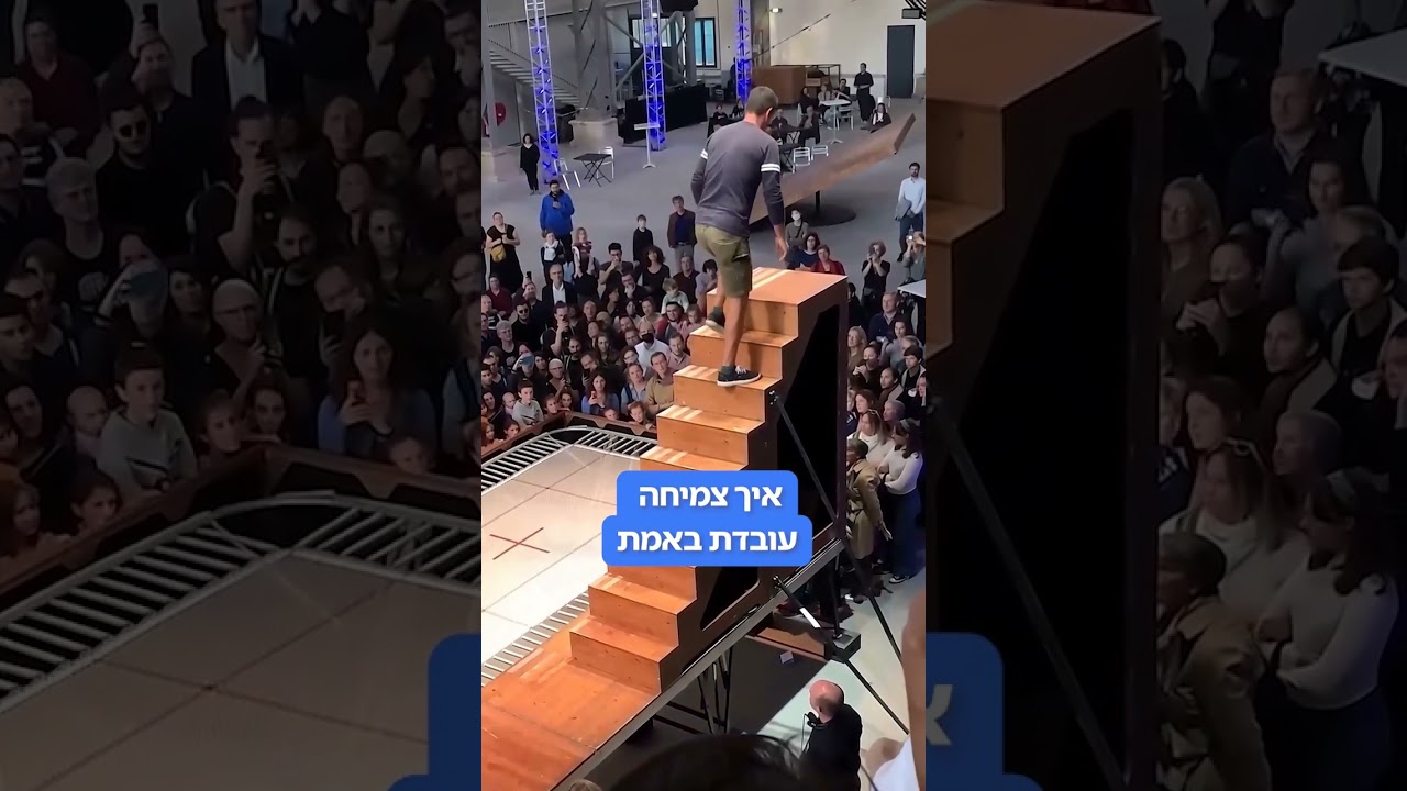 איך נראית צמיחה
