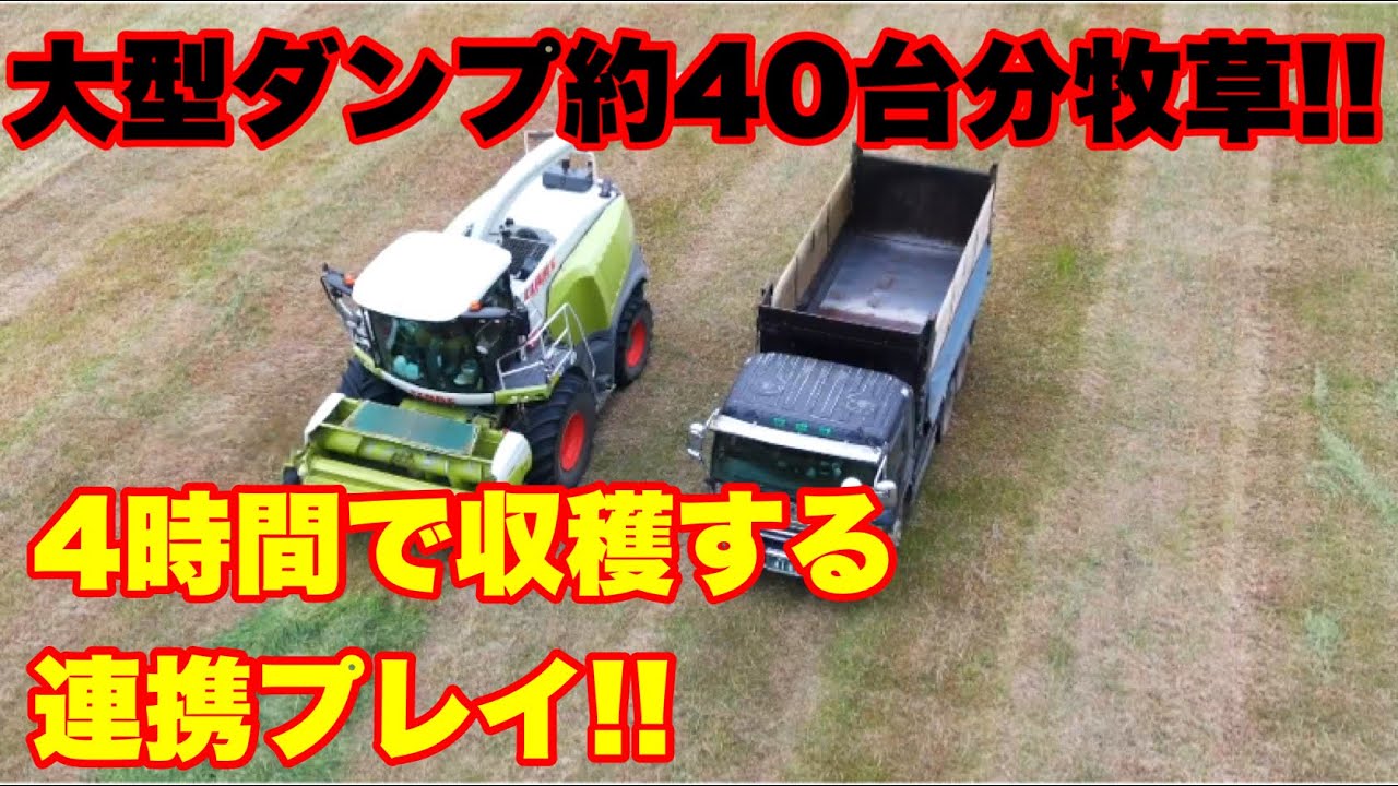 【コントラ委託】 1番牧草収穫!!7町追加分をハーベスター4時間で終了!!