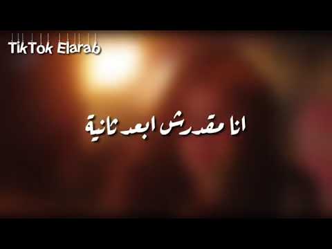 ياريت ترجع وحشت عنيا