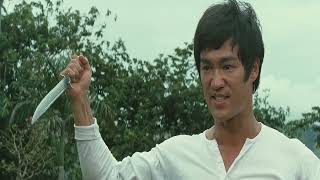 Download Lagu Bruce Lee tribute Karate a muerte en bangkok 4K 2023 MP3