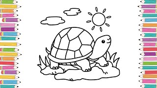 Turtle Coloring Pages for Kids And Educational Coloring Videos !