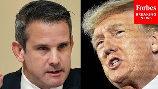 'They Want To Rewrite History': Former GOP Rep Kinzinger Shreds Trump & 'His Allies' Over January 6