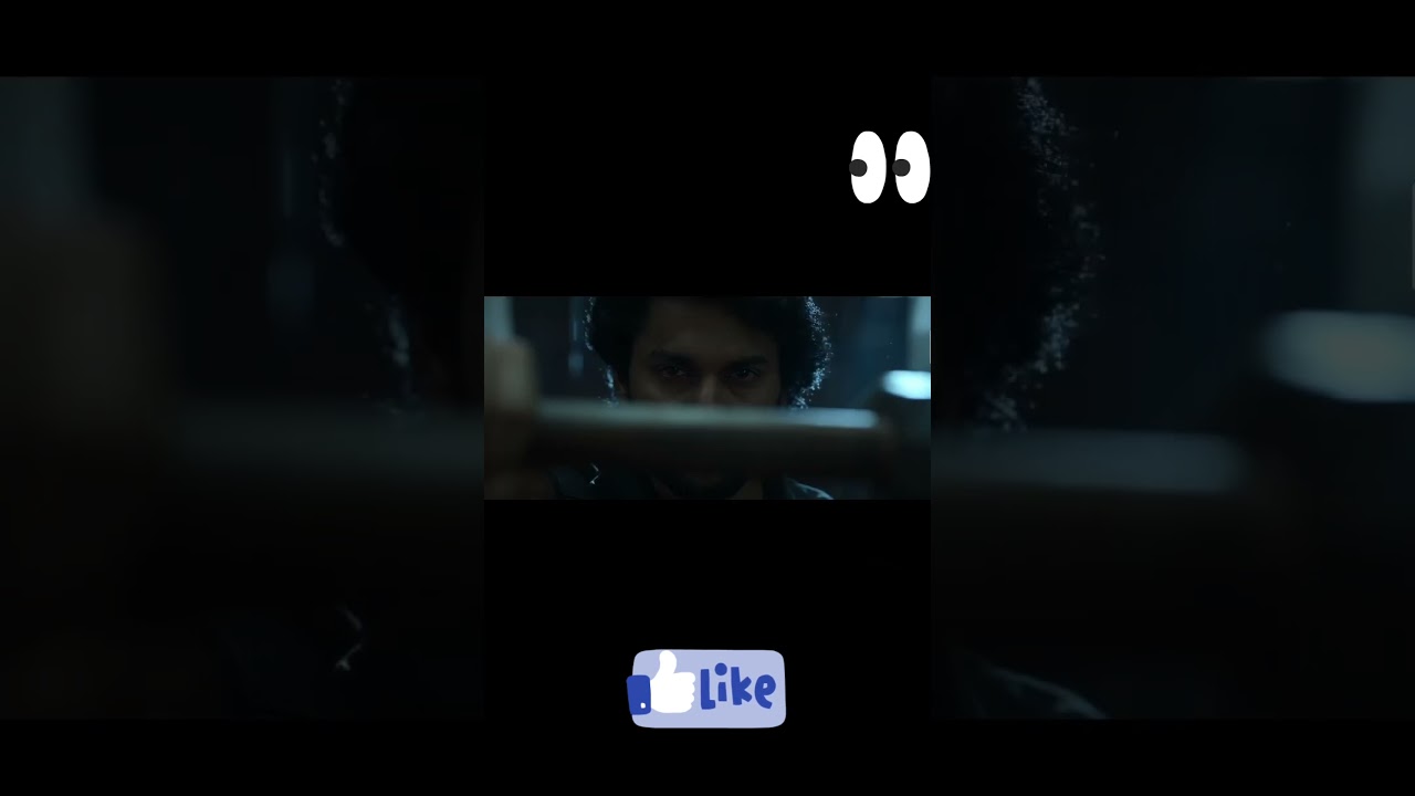 Saripodhaa sanivaaram best fight scene 🤩 