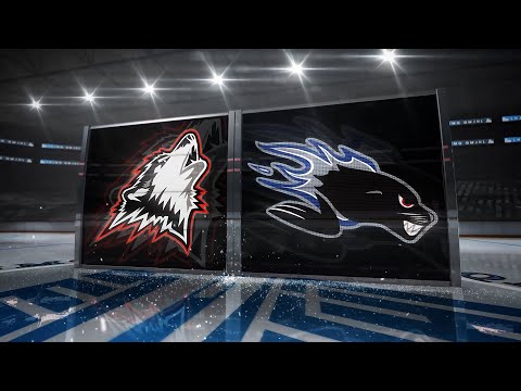 #222 Rouyn-Noranda Huskies 4 Saint John Sea Dogs 0 - 25 11 2023