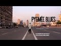 Pygmée Blues, la condition actuelle d&#39;un peuple méconnu  - Documentaire