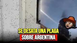 Una Pesadilla Invade a Argentina
