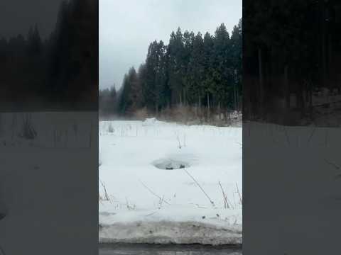 【日本の冬絶景】斑尾高原スキー場 → 長野駅🚌❄️ 絶景ドライブ&雪景色を楽しむ旅!