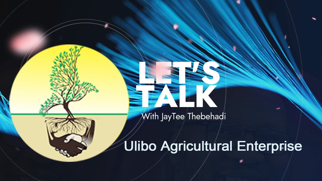 ULIBO Agricaultural Enterprise - Agriculture in South Africa - Food security