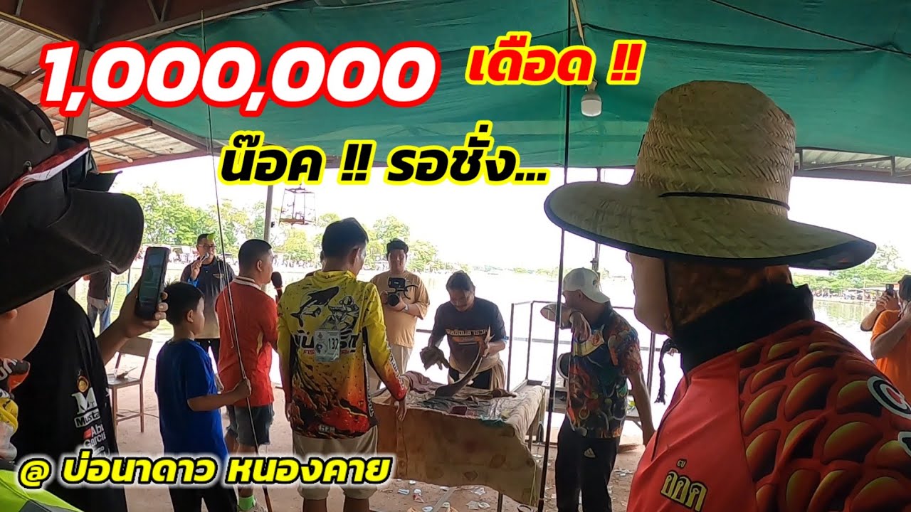 1,000,000 เดือด!! น๊อค! รอชั่ง @บ่อนาดาว หนองคาย #สวายแข่ง #แข่งตกปลาสวาย