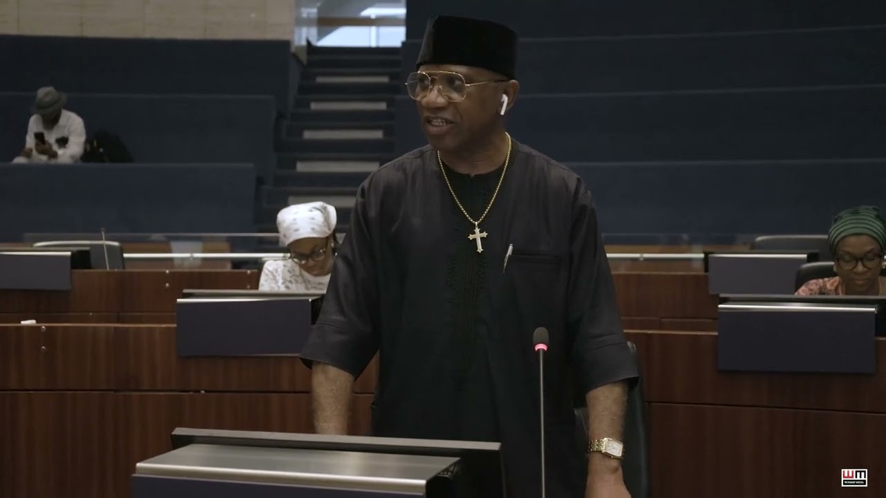 Igbo Marriage Council In Diaspora Conference 2024 / Black Liberation Flag Raising