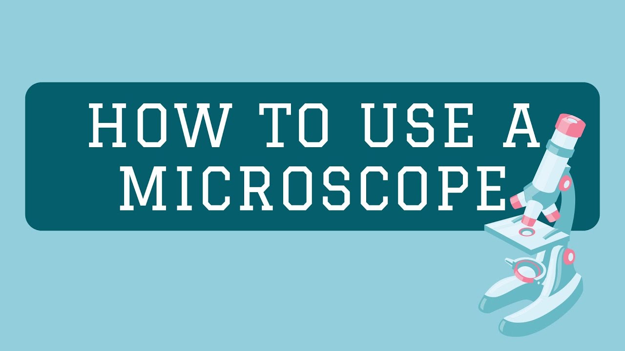 How to use a microscope - YouTube
