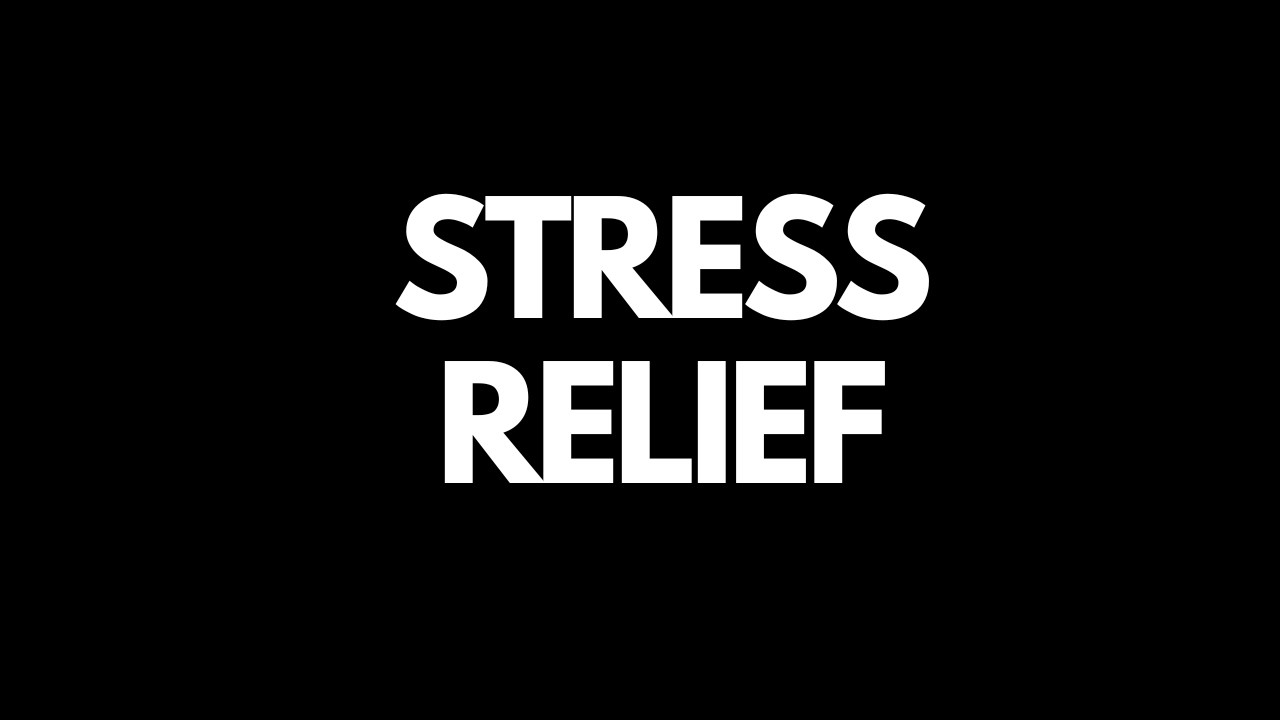 You’ll Be Asleep Before This Ends 😴 Deep Rain Sleep