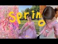 호떡 뒤집듯 직업을 뒤집는(?) N잡러 vlog🌸봄 모음집 Spring.zip