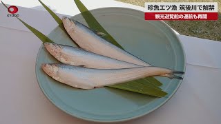 【速報】珍魚エツ漁、筑後川で解禁 観光遊覧船の運航も再開