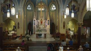 Daily Mass Thursday July 9, 2026  5:30pm