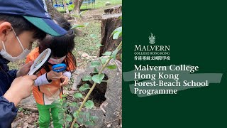 Malvern College Hong Kong Forest-Beach School Prog