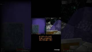 【幼稚園児とマイクラ21ショート】エンドゲートウェイポータルの入り方がわからない幼稚園児　自己流で入ります　幼稚園児は左　