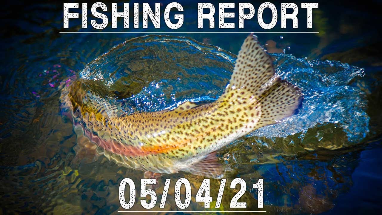 Fishing Report May 4th, 2021 | Ashland Fly Shop