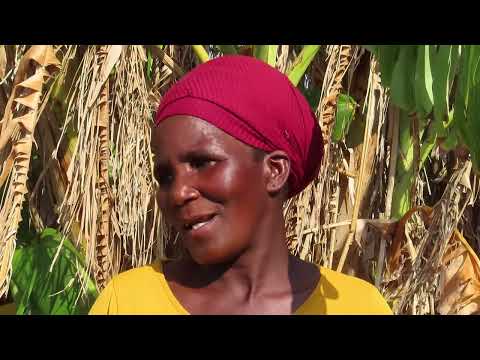 Nozolile Shude, Mtolani vill w  Sinegugu Zukulu, 17 6 2026 full