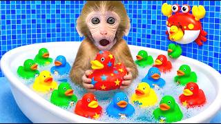 Bebé Mono Bon Bon juega con coloridos patitos de juguete en la bañera! - MONO BONBON ESP