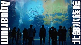 解鎖台灣北部水族館！ ｜ #野柳海洋世界#xpark #aquarium ... 