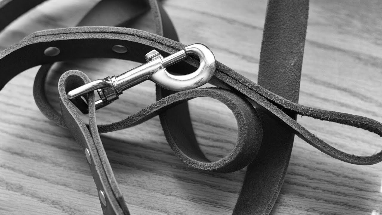 89-year-old hurt, pet dead after dog attack | WHIO-TV