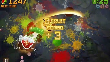 Fruit Ninja High Score - Arcade Mode 2450 Points