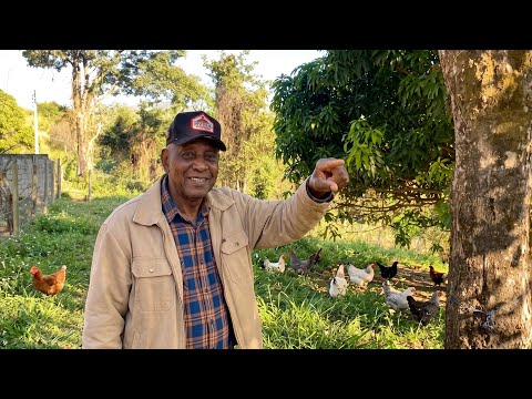 AOS 79 ANOS, ELE FAZ TUDO SOZINHO