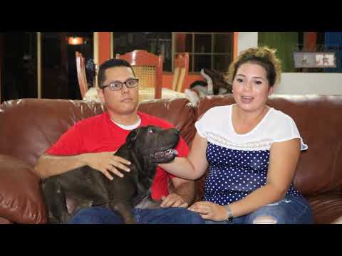 El veterinario en accion - Dr. Noel Martinez - intoxicacion por cipermetrina hqdefault