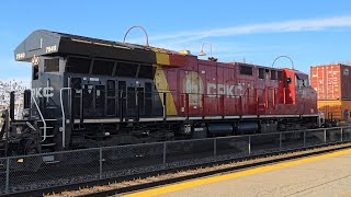 MANY TRAINS With CSX EXO Via Rail and CPKC at Dorval Station Late Afternoon  Net Worth