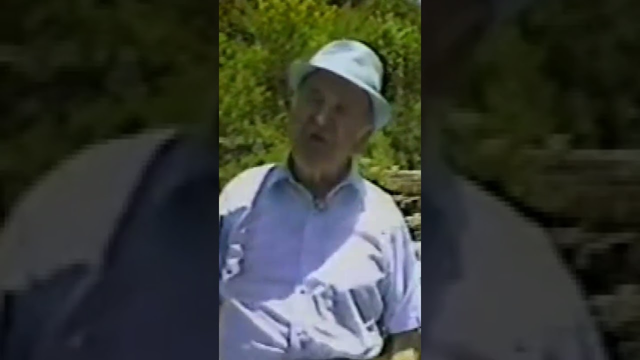 Manny Gordon wants you to enjoy summer! | 1984 | From the WNEP Archives