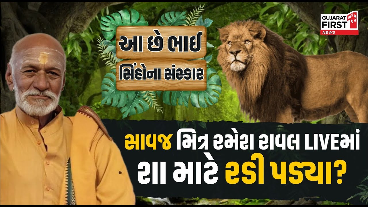 આ છે ભાઈ સિંહોના સંસ્કાર, સાવજ મિત્ર Ramesh Raval LIVE માં શા માટે રડી ...