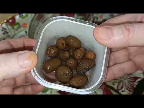 Экстренное отделение деточки у орхидеи.Специальная посадка для малышки.