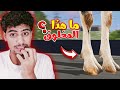 هذا أرعب شيء يمكن ان تراه داخل فري فاير 
