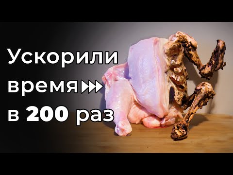 Видео: Великолепное 7-спальное современное шале в Мадриде