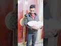 كون ابن اخته وياه الخال يطك ويعارك تصاميم احمد الابراهيمي