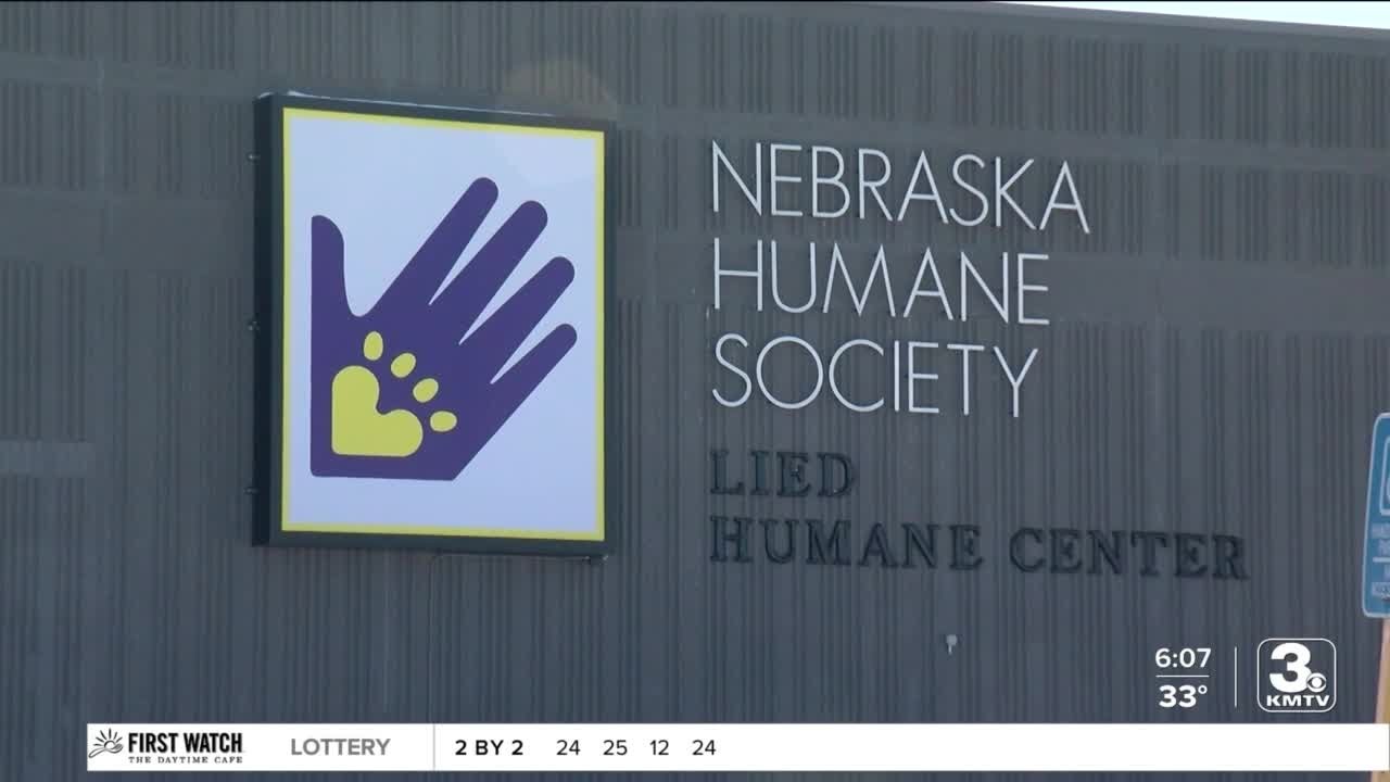Nebraska Humane Society at capacity for dogs YouTube