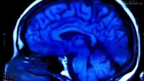 Proof and Evidence that God Exists creationism and intelligent design