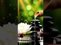 Relaxing Water Sounds 🌿 Peaceful Zen Music for Sleep, Meditation &amp; Healing