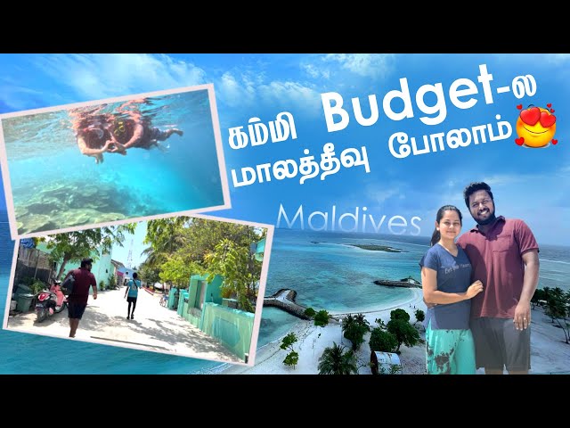 😍சுறா கூடவே சும்மிங்க போட்டாச்சு🐠| maldives maafushi island| Anithasampath Vlogs class=