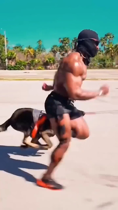 Anjing ikut lari #lucu #trending #animals #anjing