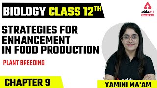 Class 12 Biology Chapter 9 | Strategies for Enhancement in Food Production | Plant Breeding