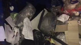 Screw compactor