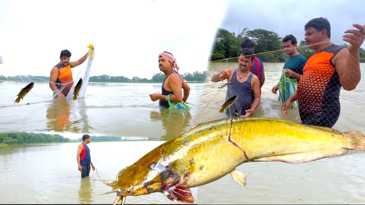 বর্ষার জলে ভরা মাঠ থেকে পাকা পাকা মাগুর কৈ মাছ ধরে রান্না খাওয়া | Rainy day fishing and cooking