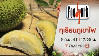 Foodwork : ทุเรียนภูเขาไฟ (9 ก.ย. 61)