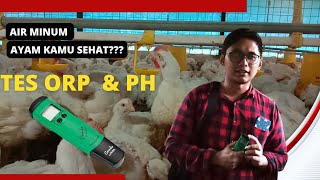 Cara Cek Kualitas Air (ORP dan PH) Kandang Ayam Broiler, Ayam Petelur, Ayam Breeding, by Hanna Tools