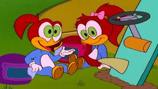 Splinter and Knothead Build a Racecar! | Woody Woodpecker