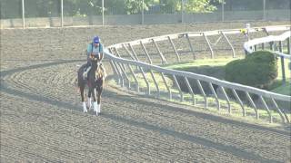 Gunnevera 5 17 2017