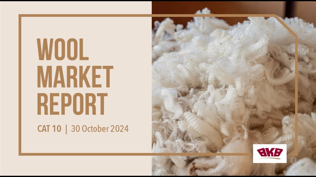 BKB Wool Market Report CAT 10 | 30 October 2024 - YouTube